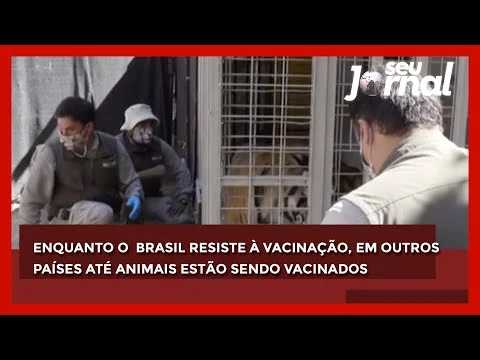 Enquanto o  Brasil resiste à vacinação, em outros países até animais estão sendo vacinados