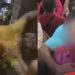 FETICHE DE CASAL? SAIBA DETALHES DO FLAGRA DO VIDEO INTIMO DURANTE O SHOW DE HENRIQUE E JULIANO 2 FETICHE DE CASAL? SAIBA DETALHES DO FLAGRA DO VIDEO INTIMO DURANTE O SHOW DE HENRIQUE E JULIANO