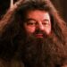 MORRE ATOR DE HARRY POTTER 2 MORRE ATOR DE HARRY POTTER