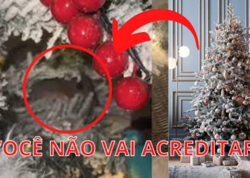 MULHER FLAGRA OLHOS EM ÁRVORE DE NATAL