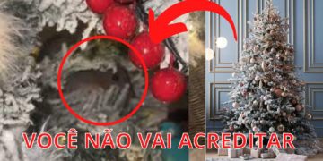 MULHER FLAGRA OLHOS EM ÁRVORE DE NATAL
