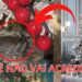 MULHER FLAGRA OLHOS EM ÁRVORE DE NATAL
