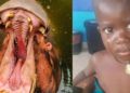 MENINO DE 2 ANOS FOI ENGOLIDO POR HIPOPÓTAMO E SOBREVIVEU