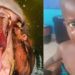 MENINO DE 2 ANOS FOI ENGOLIDO POR HIPOPÓTAMO E SOBREVIVEU