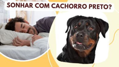 Sonhar com cachorro preto