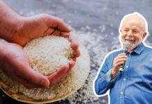 arroz do governo lula