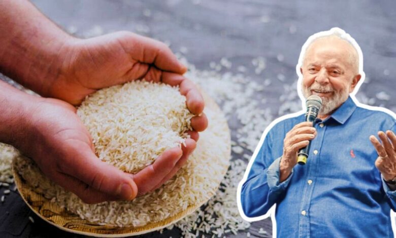 arroz do governo lula