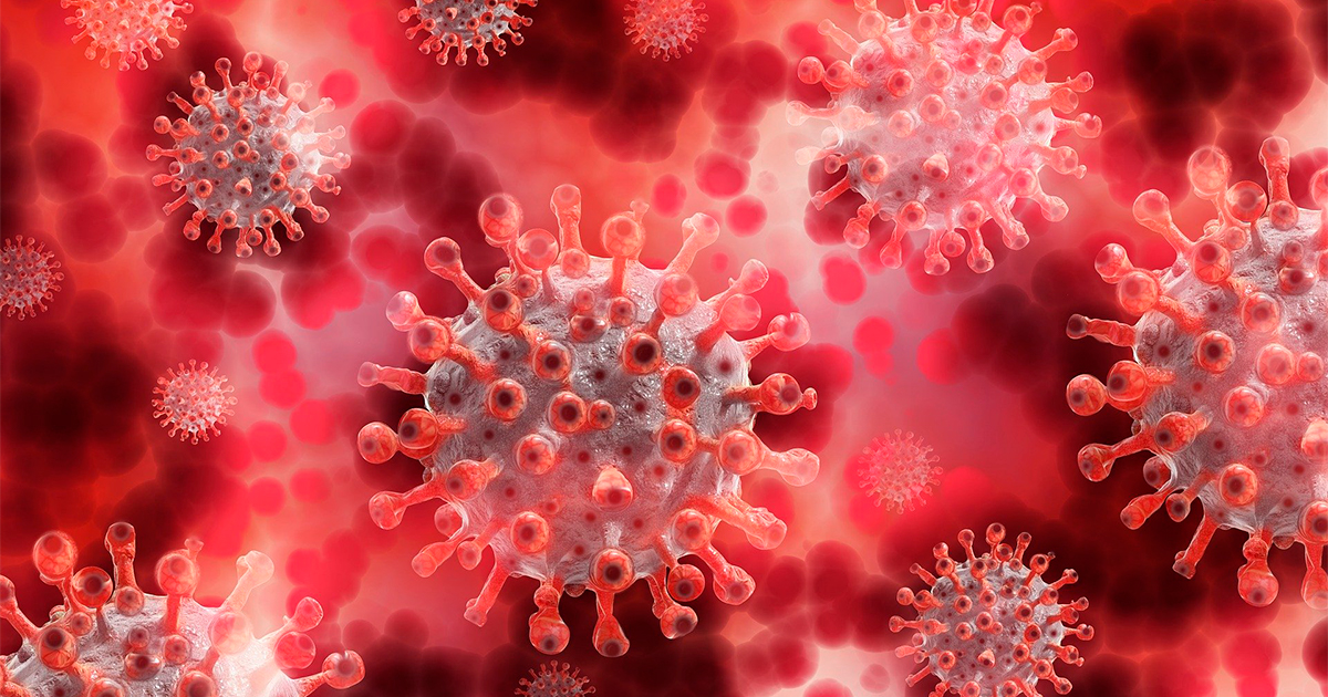 novo virus