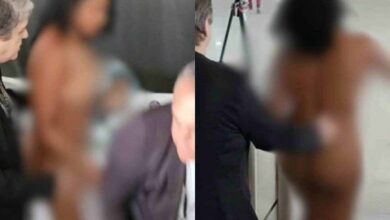 Mulher Pelada Invade o Planalto e Tenta Falar com Lula